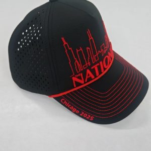 National Sports Collectors show- 2025 official cap black